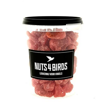 Nuts4Birds Aardbeien gedroogd  250 gr